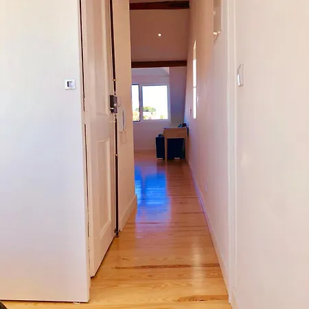 20 - Panoramic View *